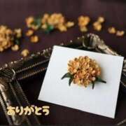 ヒメ日記 2025/11/03 20:44 投稿 はるか 奥様電車