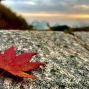 ヒメ日記 2025/11/16 10:47 投稿 はるか 奥様電車