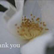 ヒメ日記 2026/03/03 09:35 投稿 はるか 奥様電車