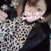 ヒメ日記 2025/11/03 01:04 投稿 なずな モアグループ宇都宮人妻花壇