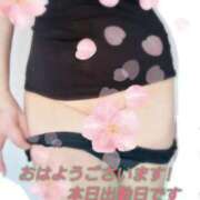 ヒメ日記 2026/03/24 11:33 投稿 まい 熟女の風俗最終章 八王子店