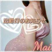 ヒメ日記 2026/04/12 00:13 投稿 まい 熟女の風俗最終章 八王子店