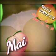 ヒメ日記 2026/04/20 13:53 投稿 まい 熟女の風俗最終章 八王子店