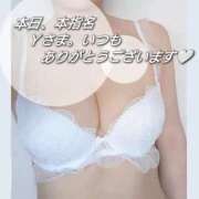 ヒメ日記 2026/08/04 17:13 投稿 まい 熟女の風俗最終章 八王子店