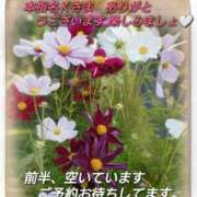 ヒメ日記 2026/09/12 00:43 投稿 まい 熟女の風俗最終章 八王子店