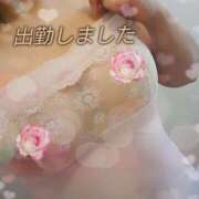 ヒメ日記 2026/01/16 15:53 投稿 まい 熟女の風俗最終章 国分寺店