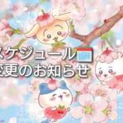 ヒメ日記 2026/04/02 07:33 投稿 まい 熟女の風俗最終章 国分寺店