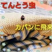 ヒメ日記 2026/05/04 23:13 投稿 まい 熟女の風俗最終章 国分寺店