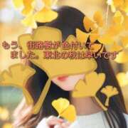 ヒメ日記 2026/10/02 17:53 投稿 まい 熟女の風俗最終章 国分寺店