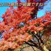 ヒメ日記 2025/12/10 11:43 投稿 まい 熟女の風俗最終章 立川店