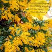 ヒメ日記 2026/03/20 15:53 投稿 まい 熟女の風俗最終章 立川店