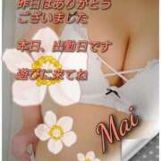 ヒメ日記 2026/04/10 13:49 投稿 まい 熟女の風俗最終章 立川店