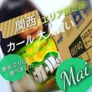 ヒメ日記 2026/05/06 11:41 投稿 まい 熟女の風俗最終章 立川店
