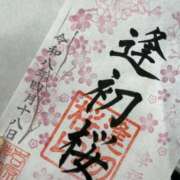 神楽みお 逢初桜 エルドール