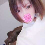 ヒメ日記 2025/11/02 11:20 投稿 はんな ぽっちゃり巨乳素人専門店ぷにめろ蒲田店