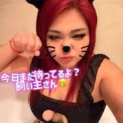 ヒメ日記 2026/03/19 15:26 投稿 りりぃ ぽっちゃり巨乳素人専門店ぷにめろ蒲田店