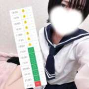 ヒメ日記 2025/11/13 15:01 投稿 かふか ぽっちゃり巨乳素人専門店ぷにめろ蒲田店