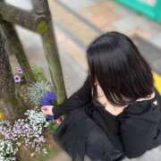 ヒメ日記 2025/12/25 16:20 投稿 すみれ ぽっちゃり巨乳素人専門店ぷにめろ蒲田店