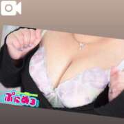 このは 合言葉🤫💖 ぽっちゃり巨乳素人専門店ぷにめろ蒲田店