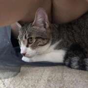 ヒメ日記 2026/03/01 12:23 投稿 みい ぽっちゃり巨乳素人専門店ぷにめろ蒲田店