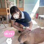 ヒメ日記 2026/07/30 10:16 投稿 みい ぽっちゃり巨乳素人専門店ぷにめろ蒲田店
