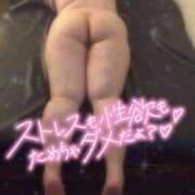 わらび 出勤予定📅 ぽっちゃり巨乳素人専門店ぷにめろ蒲田店