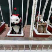 ヒメ日記 2025/11/24 13:40 投稿 あおい ふぞろいの人妻たち