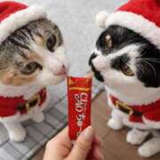 ヒメ日記 2025/12/26 09:30 投稿 あおい ふぞろいの人妻たち