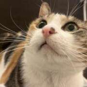 ヒメ日記 2026/01/28 19:20 投稿 あおい ふぞろいの人妻たち