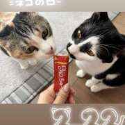 ヒメ日記 2026/02/22 20:50 投稿 あおい ふぞろいの人妻たち