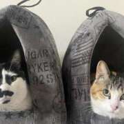 ヒメ日記 2026/03/28 13:50 投稿 あおい ふぞろいの人妻たち