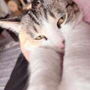 あおい 早く会いたいです；； ふぞろいの人妻たち