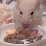 ヒメ日記 2026/06/04 13:01 投稿 あおい ふぞろいの人妻たち