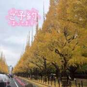 ヒメ日記 2025/11/28 14:50 投稿 みわ ぽっちゃり巨乳素人専門店ぷにめろ蒲田店