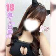 ヒメ日記 2026/05/25 15:46 投稿 みわ ぽっちゃり巨乳素人専門店ぷにめろ蒲田店