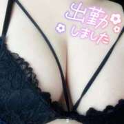 ヒメ日記 2025/12/08 13:00 投稿 しずく ぽっちゃり巨乳素人専門店ぷにめろ蒲田店