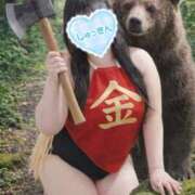 ヒメ日記 2026/04/01 11:36 投稿 しずく ぽっちゃり巨乳素人専門店ぷにめろ蒲田店