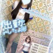 ヒメ日記 2026/04/29 12:36 投稿 しずく ぽっちゃり巨乳素人専門店ぷにめろ蒲田店