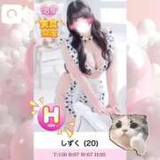 ヒメ日記 2026/06/28 01:26 投稿 しずく ぽっちゃり巨乳素人専門店ぷにめろ蒲田店