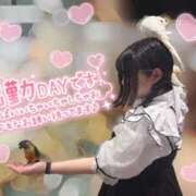 ヒメ日記 2026/07/23 12:16 投稿 しずく ぽっちゃり巨乳素人専門店ぷにめろ蒲田店
