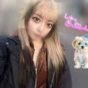 ヒメ日記 2025/11/08 06:19 投稿 あかり buzz-B