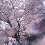 ヒメ日記 2026/04/12 15:26 投稿 じゅりあ ぽっちゃり巨乳素人専門店ぷにめろ蒲田店