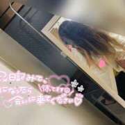 ヒメ日記 2026/06/15 22:16 投稿 じゅりあ ぽっちゃり巨乳素人専門店ぷにめろ蒲田店