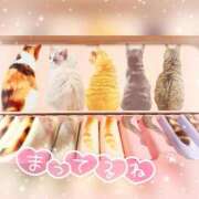 ヒメ日記 2026/01/17 13:16 投稿 あやな ぽっちゃり巨乳素人専門店ぷにめろ蒲田店