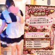 ヒメ日記 2026/02/11 00:16 投稿 あやな ぽっちゃり巨乳素人専門店ぷにめろ蒲田店