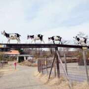 ヒメ日記 2026/03/10 11:16 投稿 あやな ぽっちゃり巨乳素人専門店ぷにめろ蒲田店