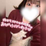 ヒメ日記 2026/03/17 10:56 投稿 あやな ぽっちゃり巨乳素人専門店ぷにめろ蒲田店