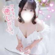 ヒメ日記 2026/06/01 08:16 投稿 あやな ぽっちゃり巨乳素人専門店ぷにめろ蒲田店