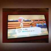 ヒメ日記 2025/11/28 11:50 投稿 ののか ぽっちゃり巨乳素人専門店ぷにめろ蒲田店