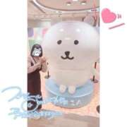 ヒメ日記 2025/12/09 23:10 投稿 ののか ぽっちゃり巨乳素人専門店ぷにめろ蒲田店